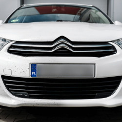 K2 PRO Nuta Anti 1L - Insect - odstraňovač hmyzu