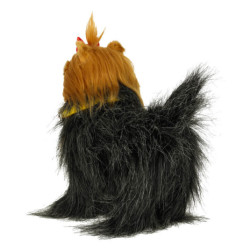 Interaktivní pes York