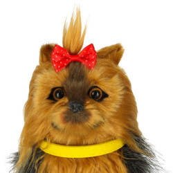 Interaktivní pes York