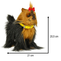 Interaktivní pes York