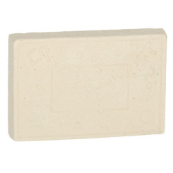 Archeologické vykopávky zasadily hmyz do jantaru