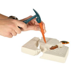 Archeologické vykopávky zasadily hmyz do jantaru