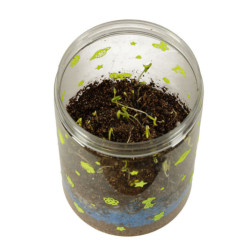 Dinosauří terárium s nočním LED osvětlením