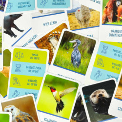 Vzdělávací hra Na vrcholu hry pro zvídavé 8+ MULTIGRA - polsky jazyk