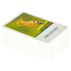 Vzdělávací hra Na vrcholu hry pro zvídavé 8+ MULTIGRA - polsky jazyk