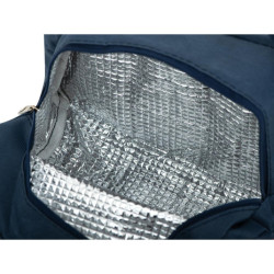 Izolovaná termotaška na snídani a oběd fox, orange