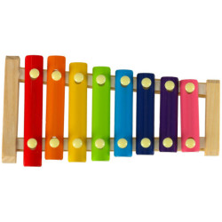 Barevný vzdělávací dřevěný cimbál