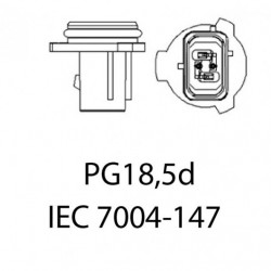 P13W LED žiarovka (8 x cree SMD 5630) 6000k 12/24V