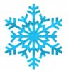 sněhová vločka